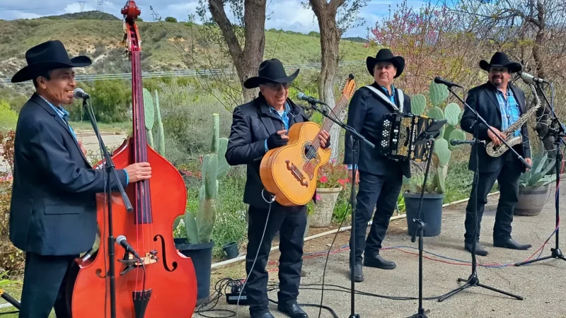 Norteños Con Sax en Bakersfield CA